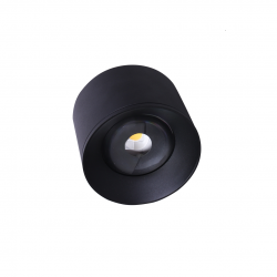 LED луна FTS R1605 IP20 12W 4000K 1200Lm открит монтаж кръгла черна