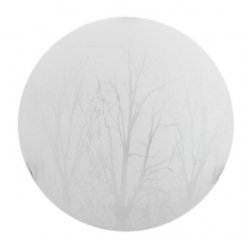 Плафон FOREST 2хЕ27 Ф300 IP21