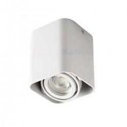 Луна за външен монтаж TOLEO DTL50-W 1хGU10 max 25W IP20 матово бяло