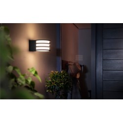 LED smart фасадно тяло Philips HUE LUCCA IP44 E27 9W 2700K 806Lm графит